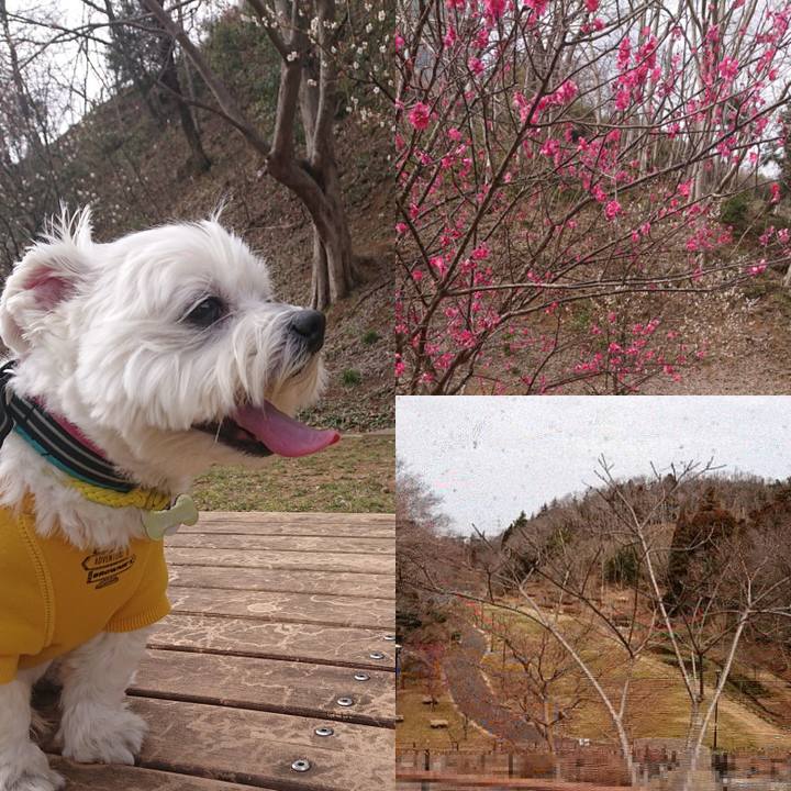 A23d203d 32f3 4134 8165 2be6bfa67066 1614574174014