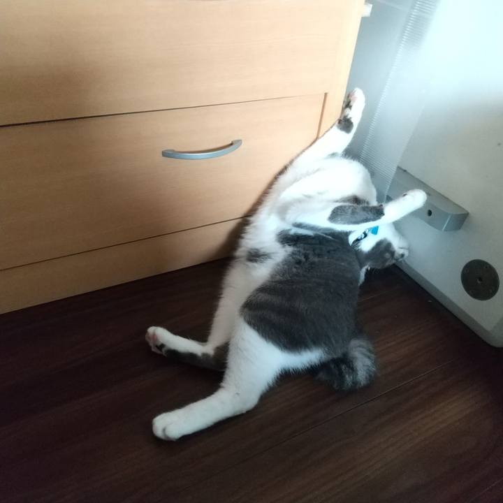 A23d356b c333 4145 8705 5a5a5d1e4f67 1600823709605