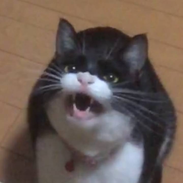 A23d523a d0b3 4873 8dbc 40d95c802373 1554564305848