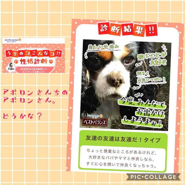 A23d8564 031e 4037 abab fbe313d18602 1542094126352