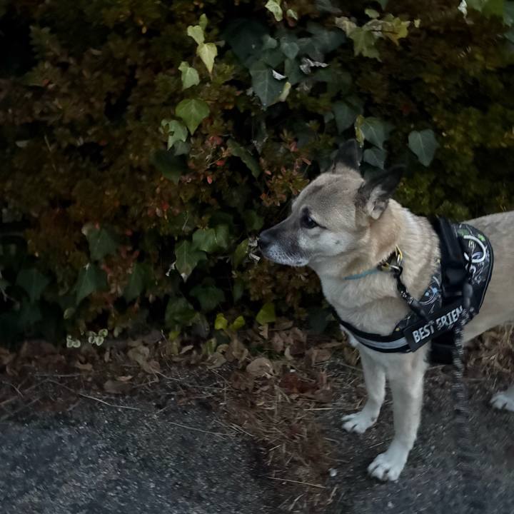 A23d9401 7fd1 4a96 a090 f38891ac90dc 1734698627593