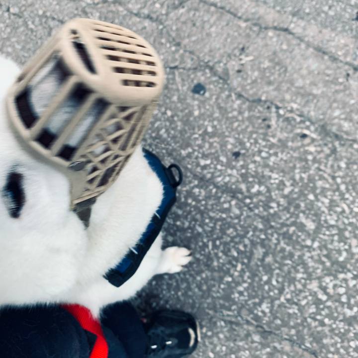 A23da8fd 0e98 4a08 87b3 60b0a527aead 1631915406202