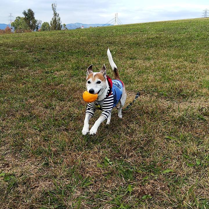 A23dc576 d662 4179 a4b6 5fd41058c6c4 1543125890252