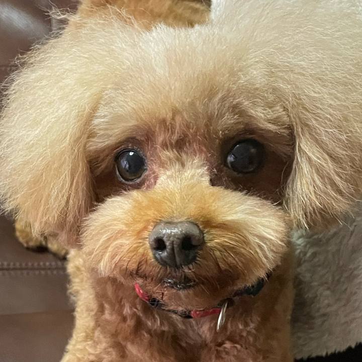 A23dd77f 5100 42da 9c3c 8ca6a5f01271 1679120722466