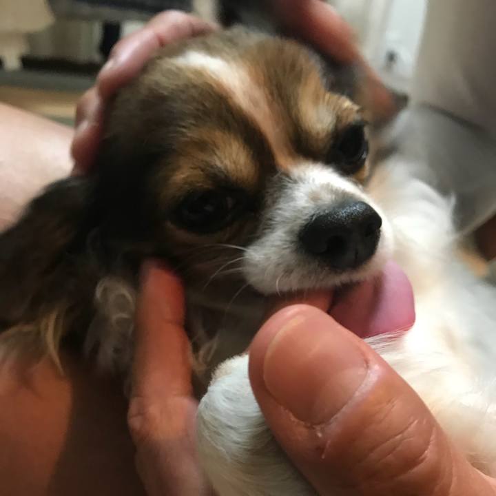 A23deb04 8e65 444d 81b3 acd7d78f0680 1513346609130