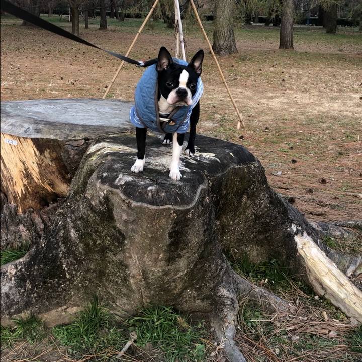 A23e0b16 c330 4a4d 8598 1edb5cd06170 1518244389323