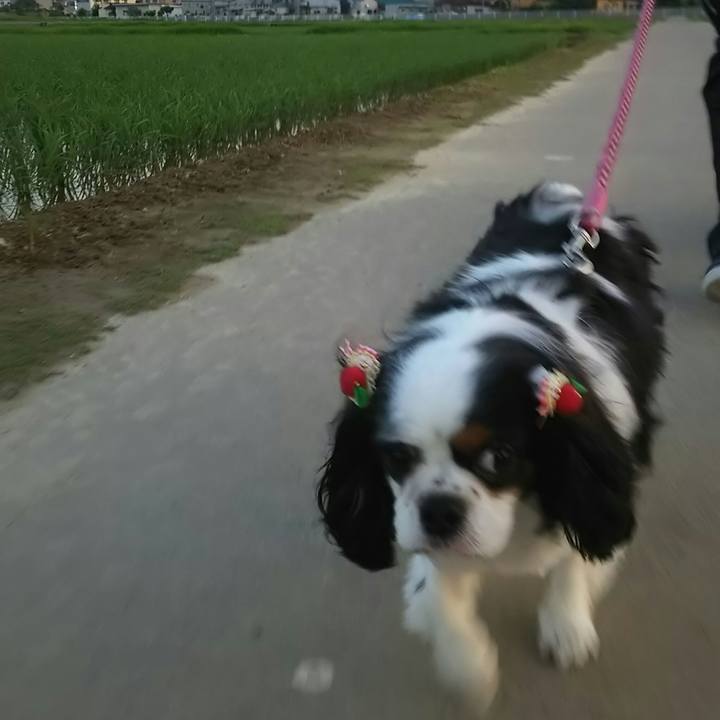 A23e0e1d 784e 475e b537 e77f82f5970e 1528813547771