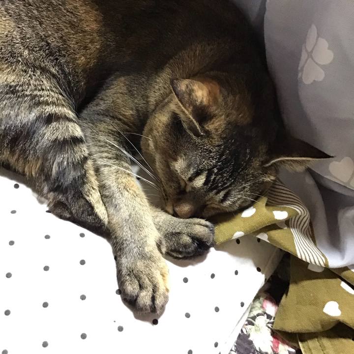 A23e47dc 8770 404d 98ef caaecf0cde24 1635244285800