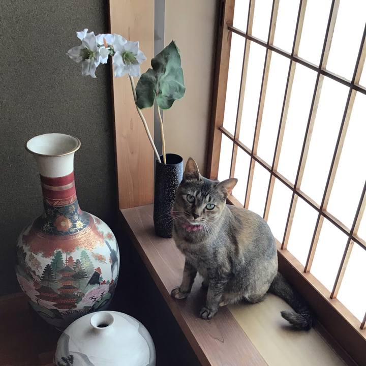 A23e99cd c627 4fd7 aa5c 40dad1619450 1594514547260