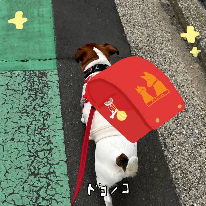 A23ec35a bea3 41e9 94dc f297576c0277 1744272039479