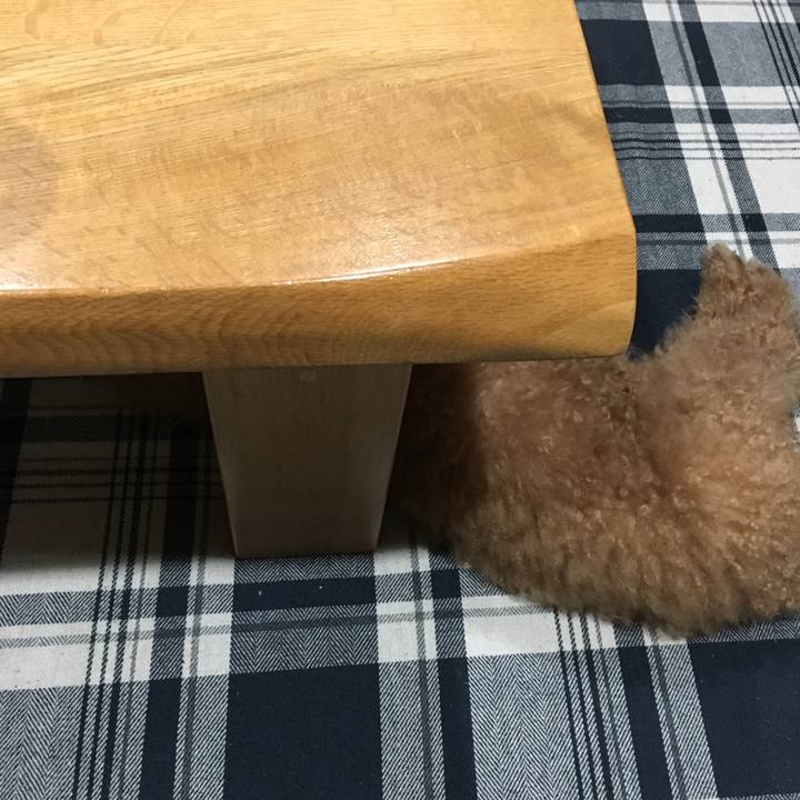 A23ed445 0068 41ef 9b39 ba9ba18761c8 1516975622782