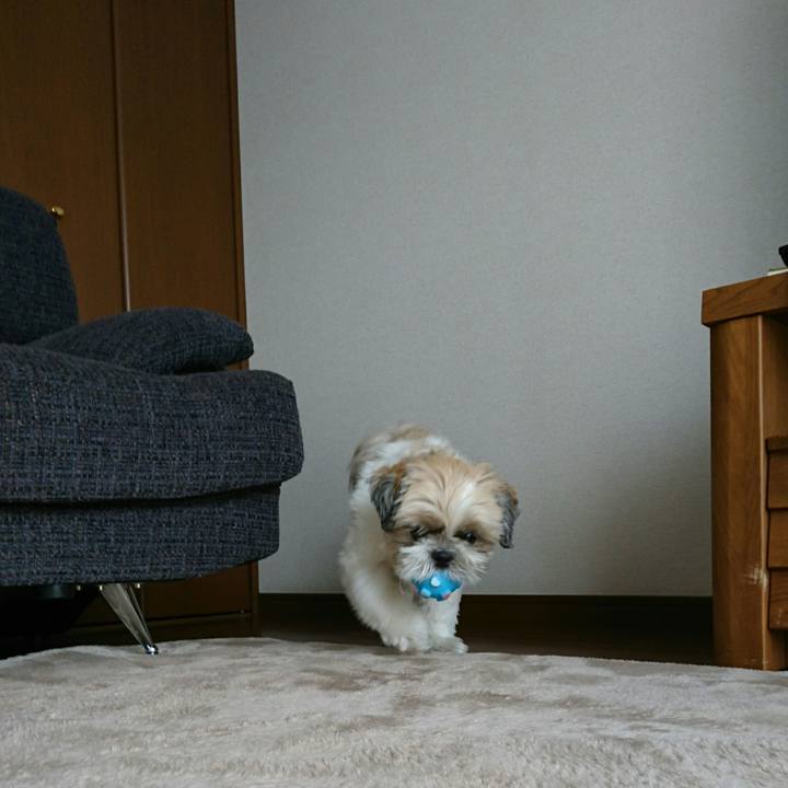 A23ef7bd 498e 4a31 9f2f 66ad8068131a 1528514641910