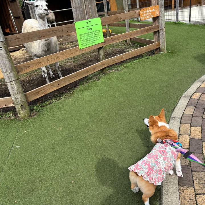 A23f0ca3 6b73 4149 a8ae 00ec4217d105 1760330168828