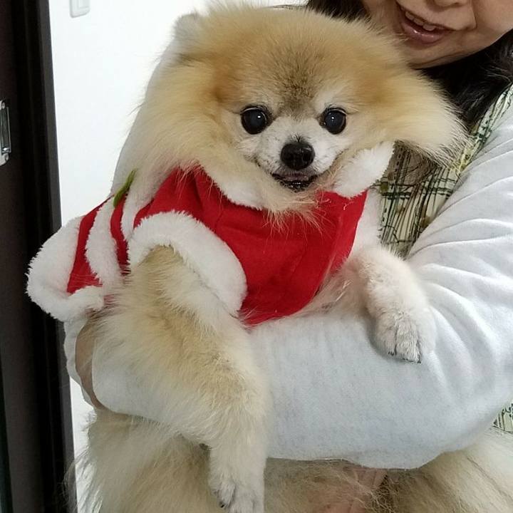 A23f52ce be89 4fc4 a09d 791e47101f88 1640436919403