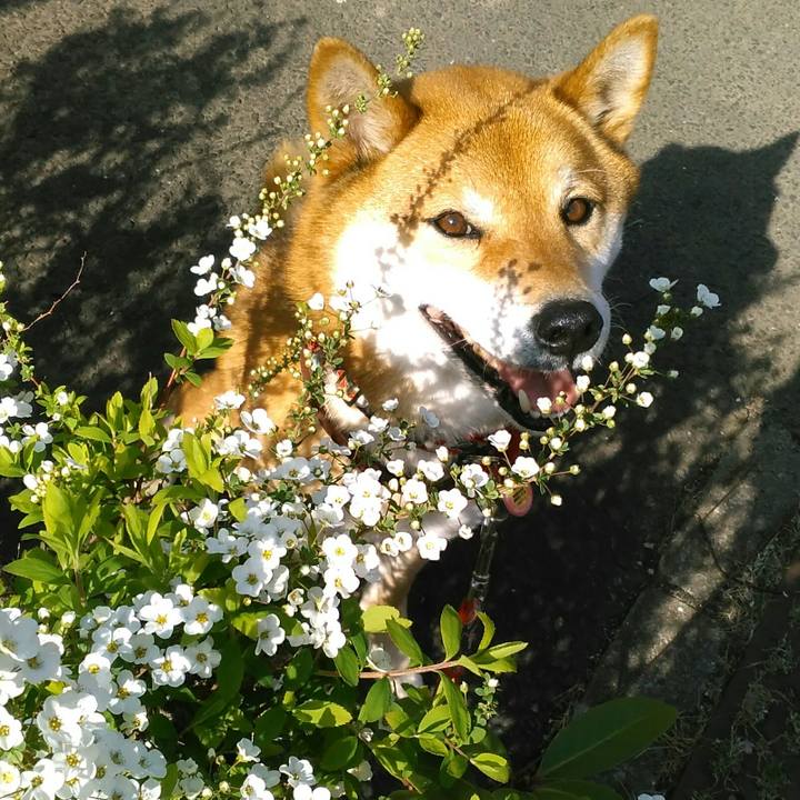 A23f6687 f5b1 456f 858e fa8f7d1ce298 1553214571370