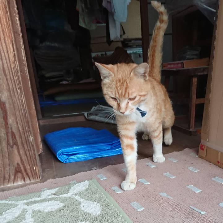 A23f7082 fb8a 4ffe a984 769de538260b 1558689147947