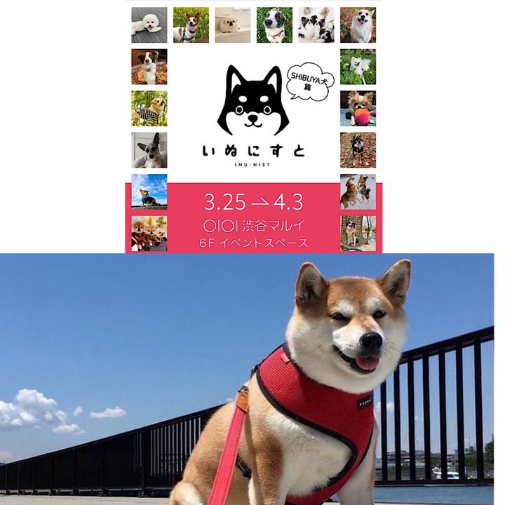 A23f9097 8185 4953 b72f f3ee867acb41 1648166853662