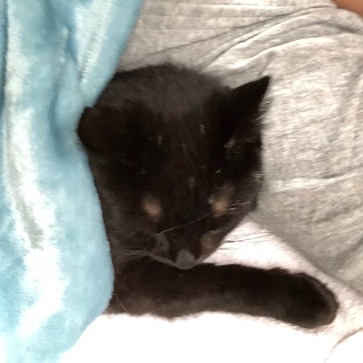 A23fe877 4cdb 4fab b727 1bb996f239c9 1564037215144