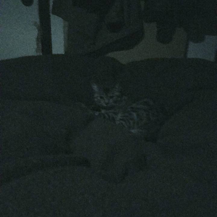 A23ffb05 5a74 4220 9448 5dc774e3bd02 1678294202433