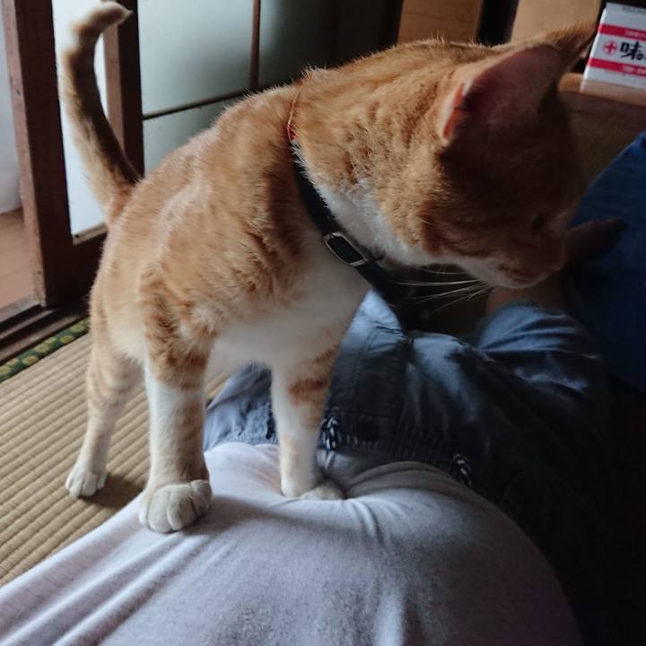 A23ffea4 867d 46e1 abaf 1c81d01f54c5 1564653058929