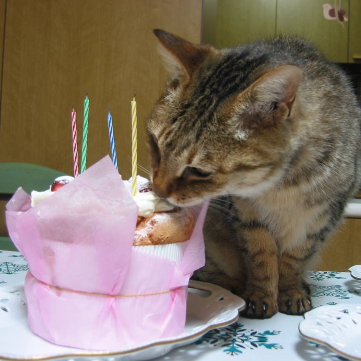 A2400a1b 1f18 4e00 abad cd7ff08f364c 1519609354624