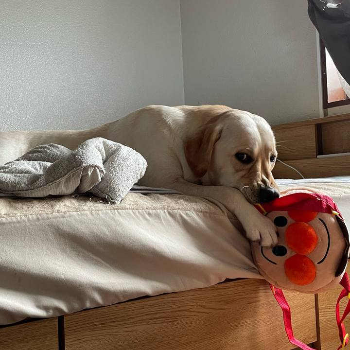 A240452b d9c5 43fb bc75 d70021125962 1660431639362