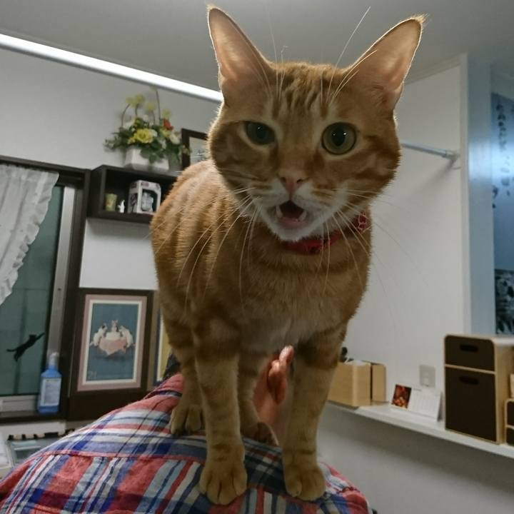 A24064d9 18e1 4384 9ad7 90a0a6128b1c 1508649011243