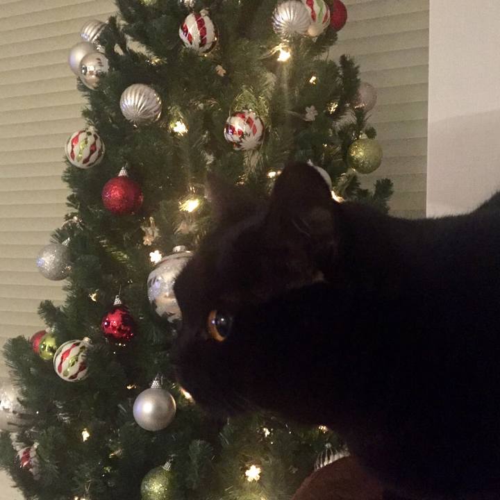 A2408033 7e0d 46f7 8a87 3b3381890827 1545742542557