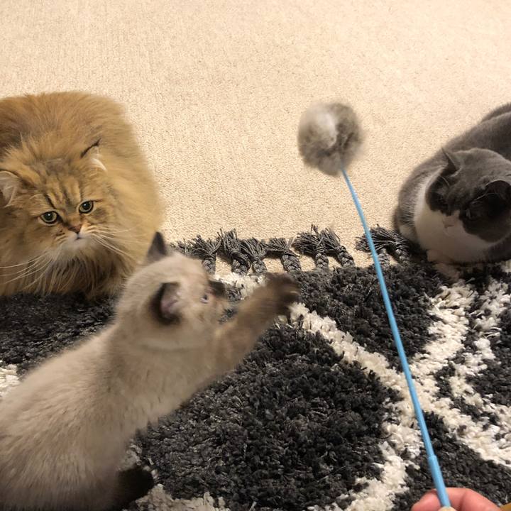 A2408054 0f29 4de8 87b0 9c846cbef0de 1584798427856