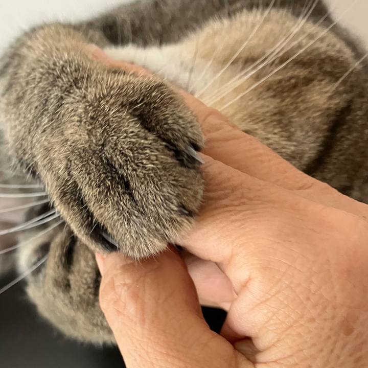 A240cae3 ba7d 4bb8 b4f0 f479d66d90ad 1757917921018