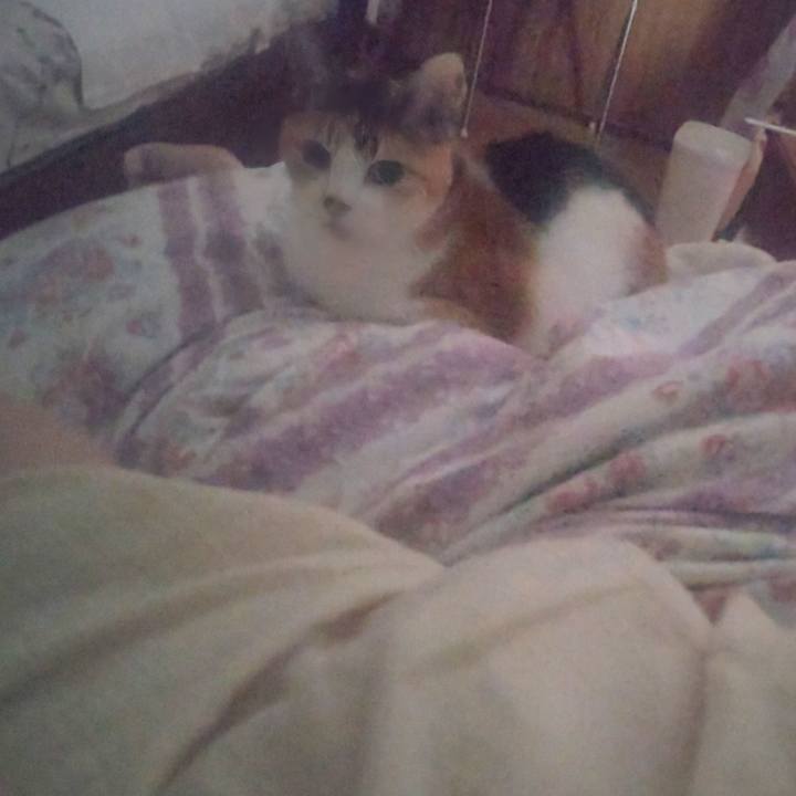 A240f58a 50c2 45a5 b5af 1ecbeb8dd81a 1726533891453