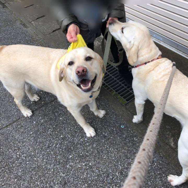 A2411113 f6ff 4691 9a6b 1882bd19abbd 1580902344969