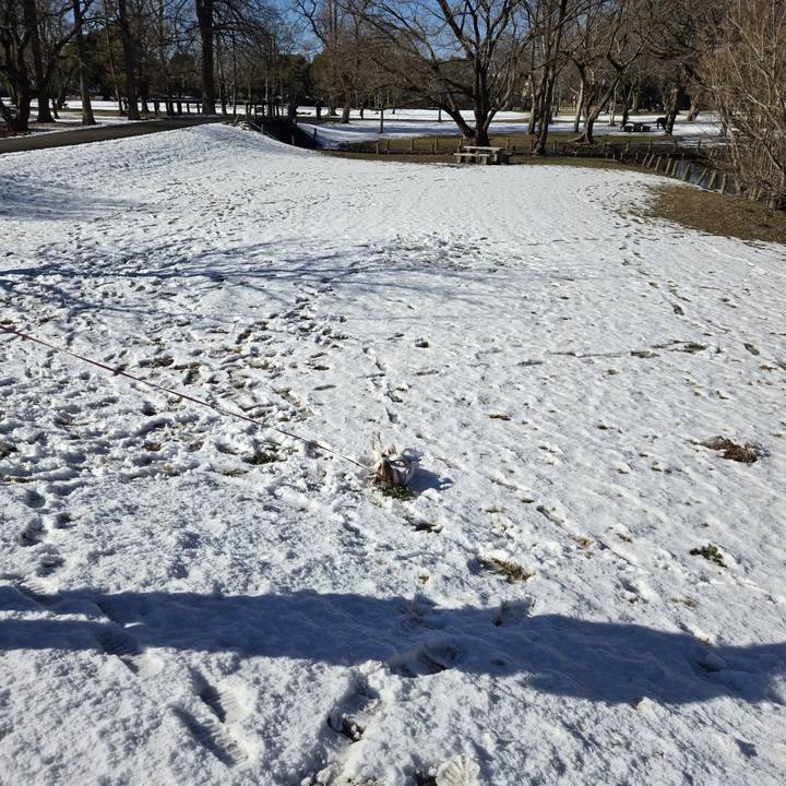 A241c668 96ae 420e 875b 06e98beceaa9 1767412268996