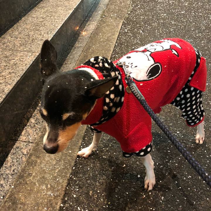 A241c795 00b8 435a 9696 17a010d04568 1515664484189