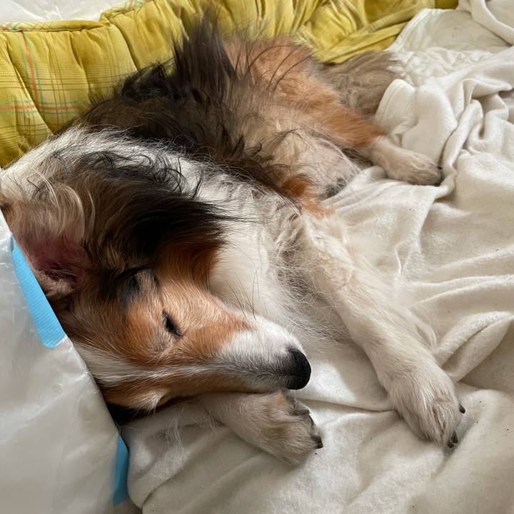 A241e66f d835 4c43 84ad cc9e19ad13a0 1617514643183