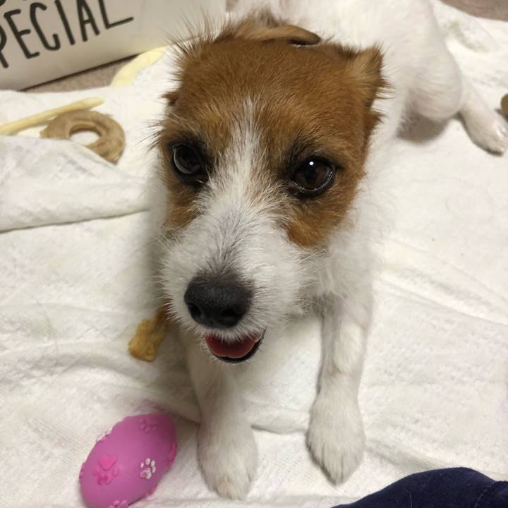 A2420008 4621 440b a6a3 1ea94efcbb3e 1528034294277