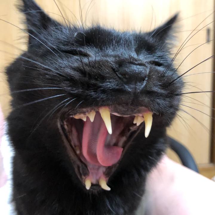 A2420a5e 2aa3 44e2 ba00 3b1a1b3eef42 1609148099559