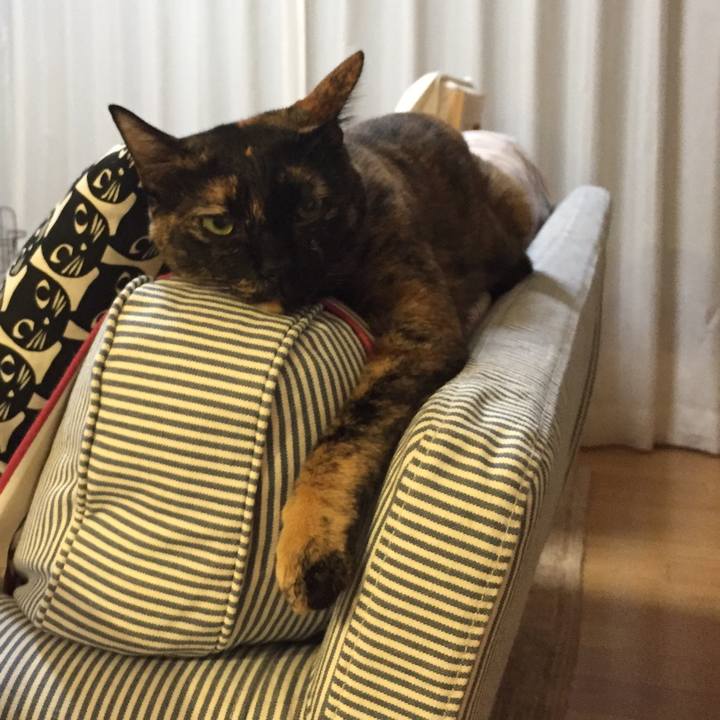 A2421382 6e7a 4194 b34b b8854ce1f23e 1528850719458