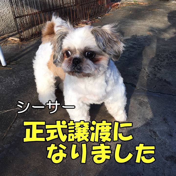 A2422347 6771 43aa 85f4 774158059b2a 1579262571173