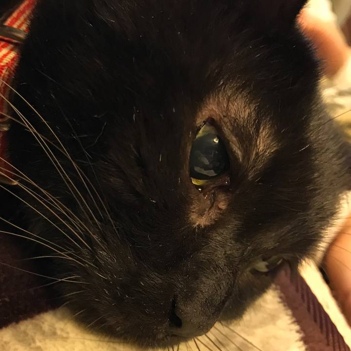 A2422e0e e39e 4228 a185 9b4597dfcf61 1552198296280