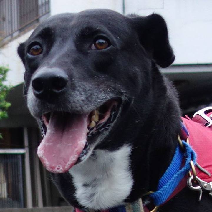 A242354c 4816 41c3 b6f4 01f0b813751a 1659656534099