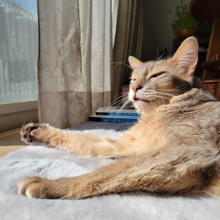 A242433b 38ec 43bd b85a b57db0ea1ba4 1643865853759