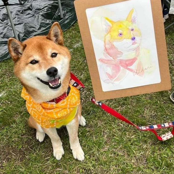 A242457f d954 4d82 bbb9 5ca617d84212 1650881340480