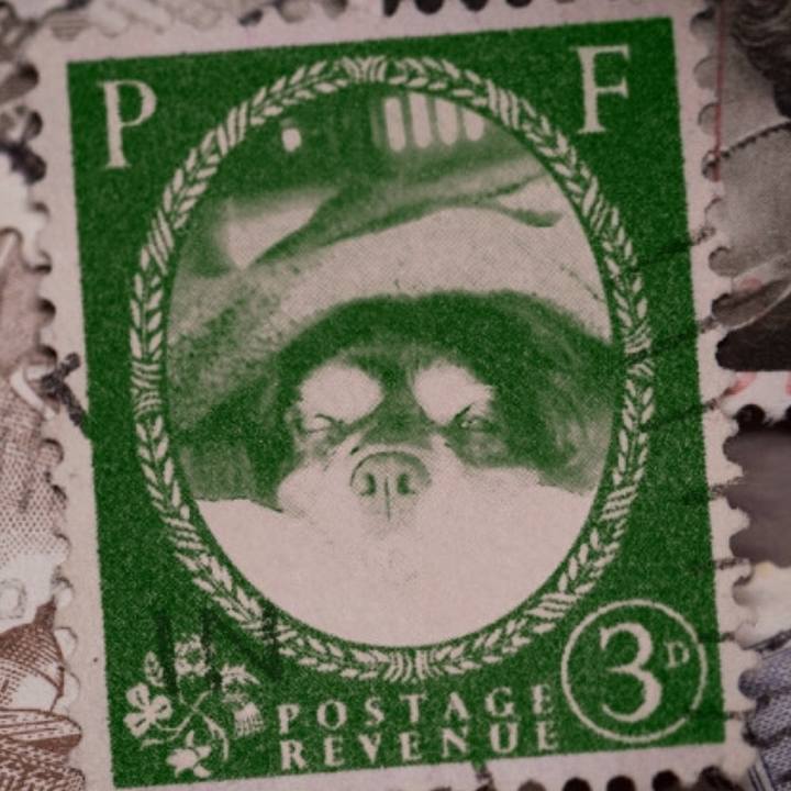 A2424de3 5a03 428d 8638 971141314bd1 1569940499946