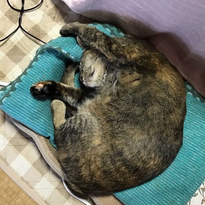 A2426cca 0fd6 4d6b 863e 17ffb7671bb9 1740637325823