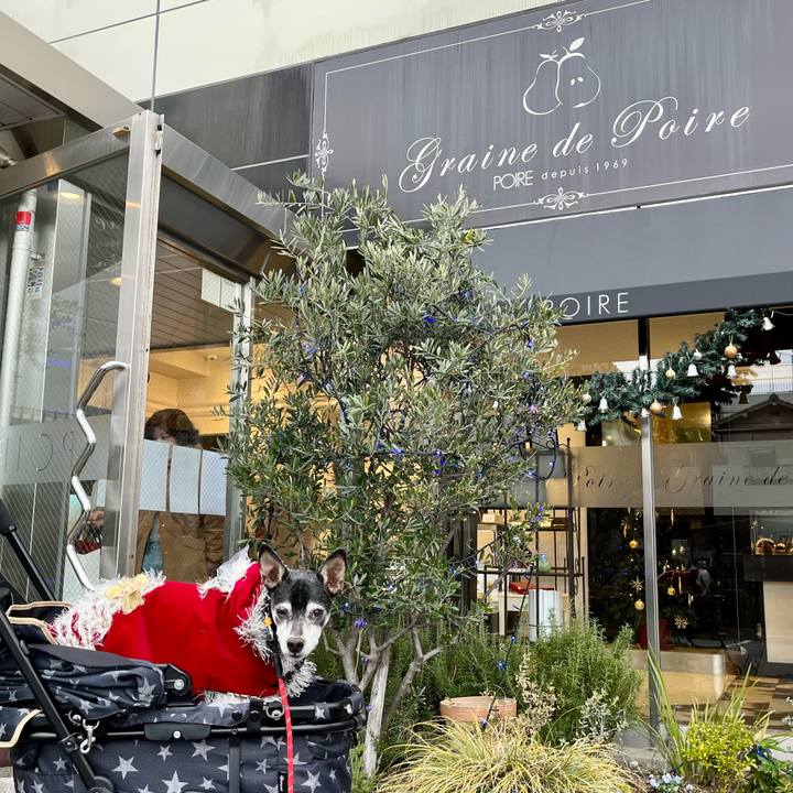 A2428d2c da58 4d55 9c5e 91955858d8dd 1640434371611