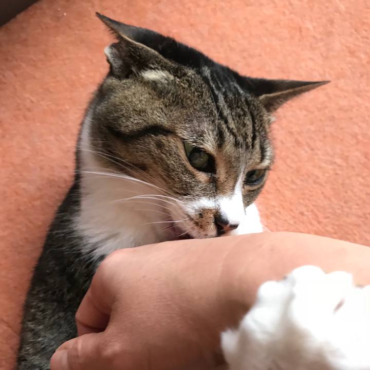 A2429515 2aaf 4a00 a327 df19be3cd94a 1516325589813