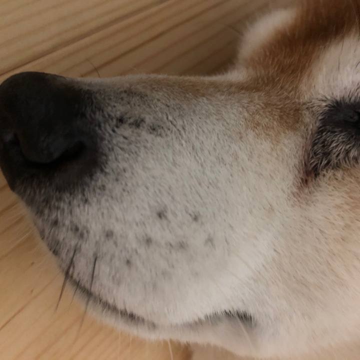 A2429c08 ba0c 4fae bae0 fb45de0eda17 1536499525789