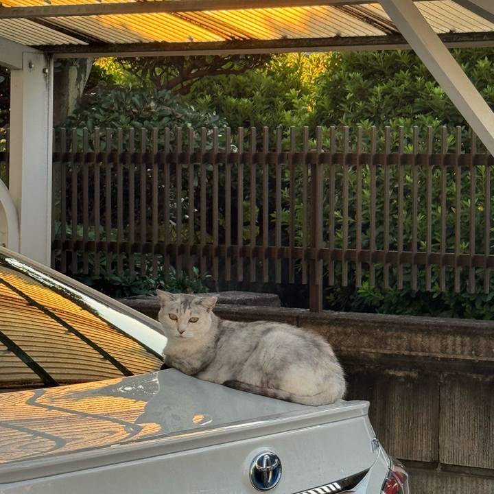 A2429d63 648c 4d69 84e5 9a79da6e90ce 1754605050874