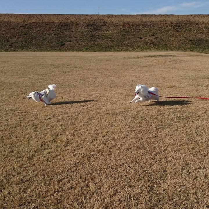 A24306e5 ab00 42b3 a97a 2dda833fabef 1611558087041